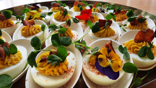 Bouchées froides | Oeufs farcis à la provençale