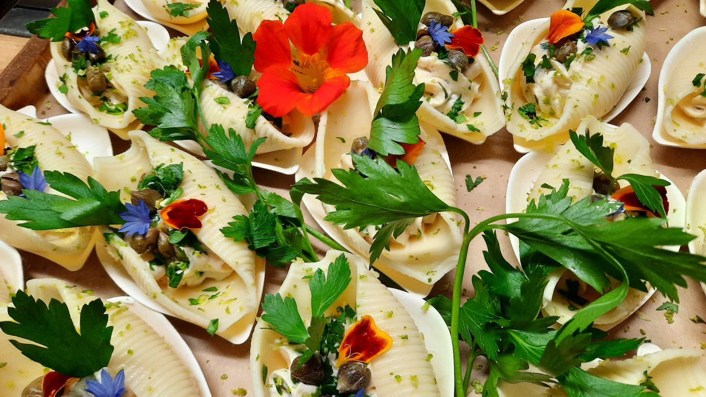 Bouchées froides | Conchiglioni farci au fromage aux herbes, saumon fumé, câpres et zeste de lime